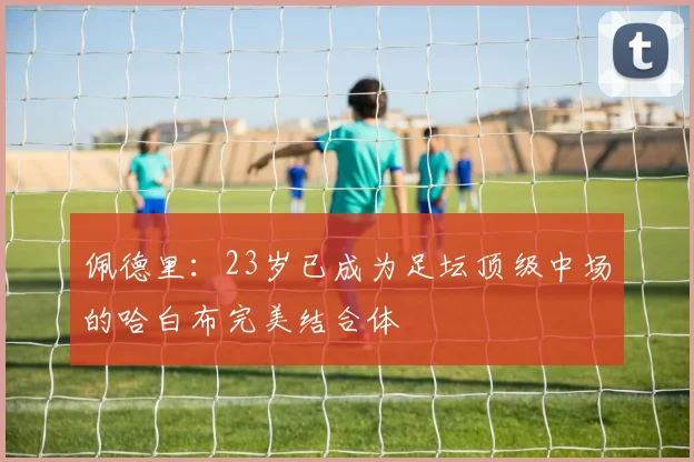 佩德里：23岁已成为足坛顶级中场的哈白布完美结合体