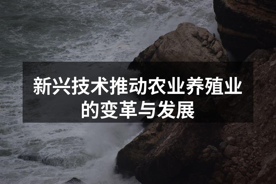 新兴技术推动农业养殖业的变革与发展